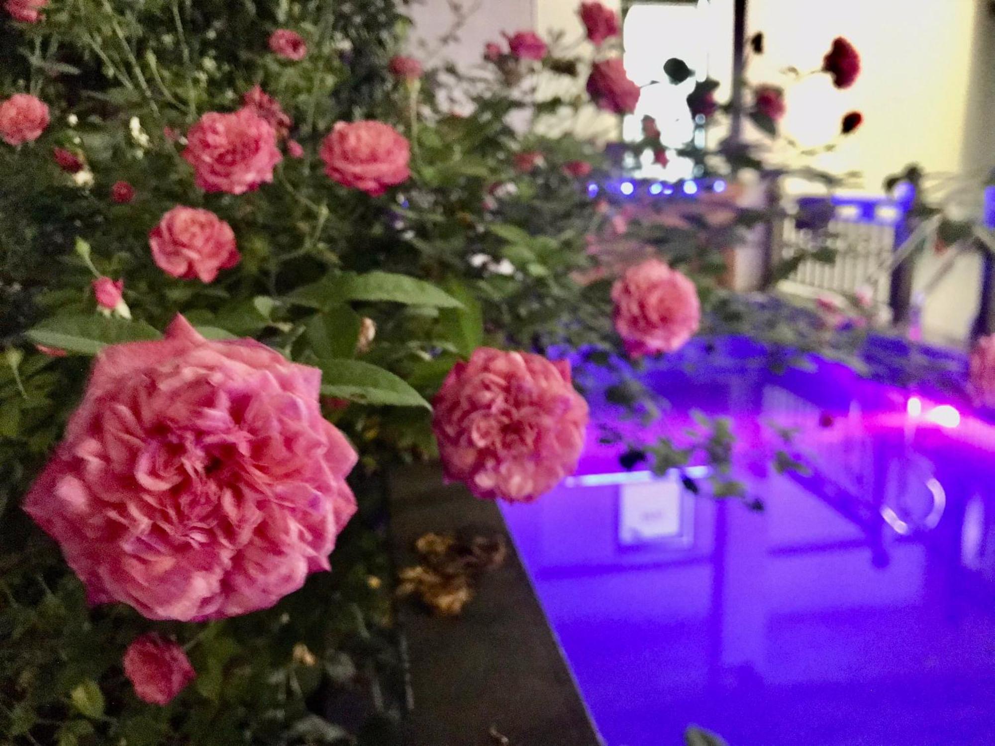 A Thia Homestay Дьєнб'єнфу Екстер'єр фото
